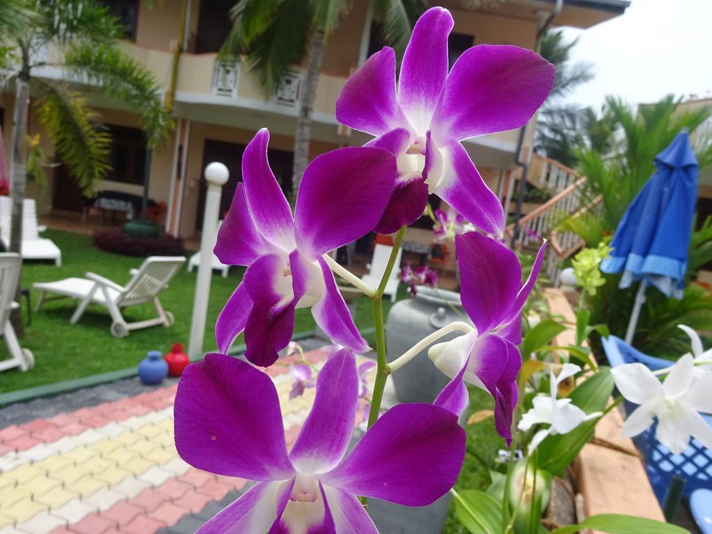 Hilda Guest House Хіккадува Екстер'єр фото